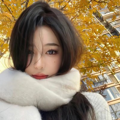 案中案