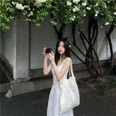 大项目
