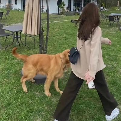 薪火相传